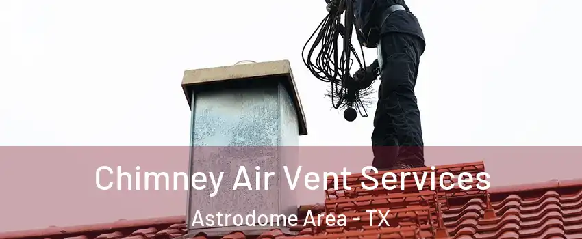 Chimney Air Vent Services Astrodome Area - TX