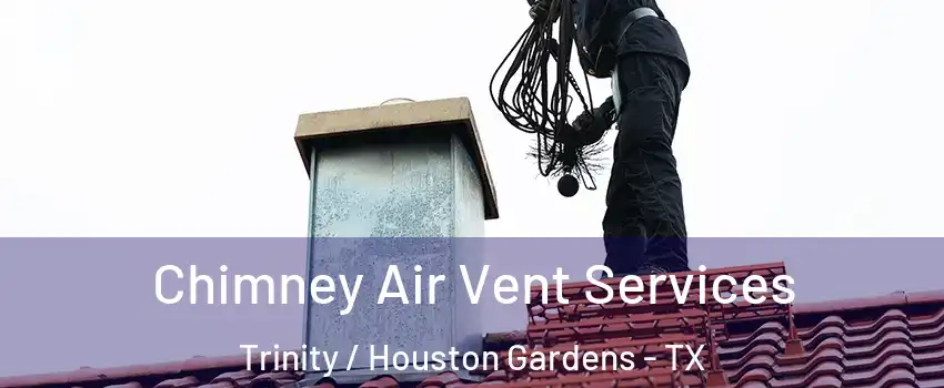 Chimney Air Vent Services Trinity / Houston Gardens - TX