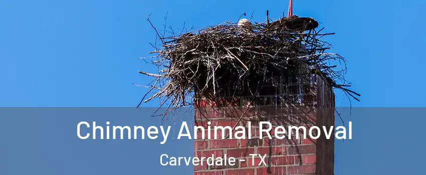 Chimney Animal Removal Carverdale - TX