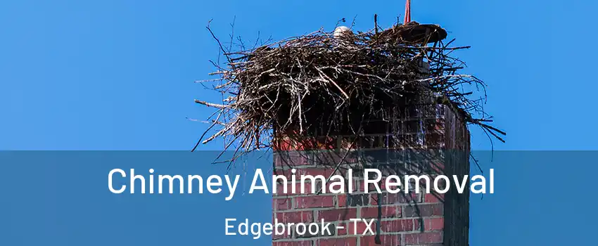 Chimney Animal Removal Edgebrook - TX