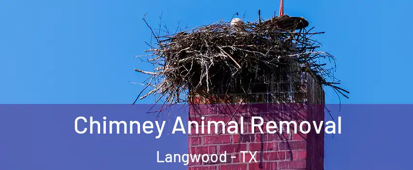 Chimney Animal Removal Langwood - TX