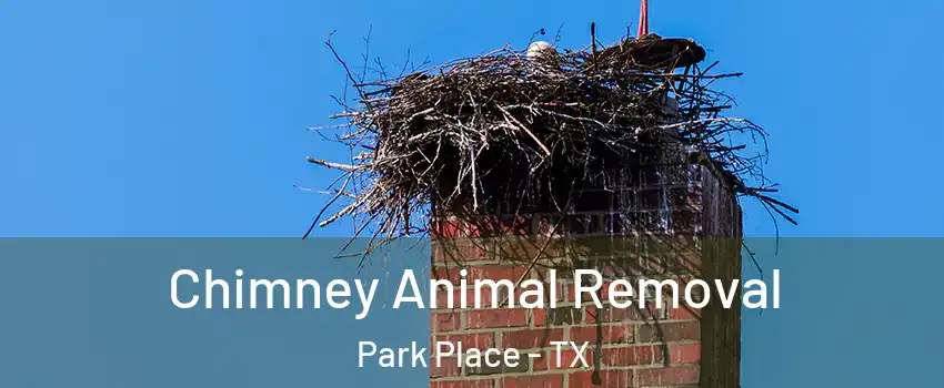 Chimney Animal Removal Park Place - TX