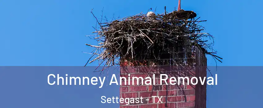 Chimney Animal Removal Settegast - TX