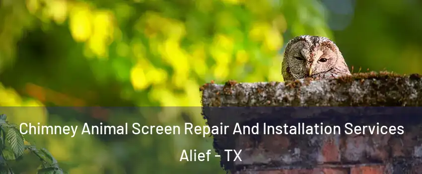 Chimney Animal Screen Repair And Installation Services Alief - TX