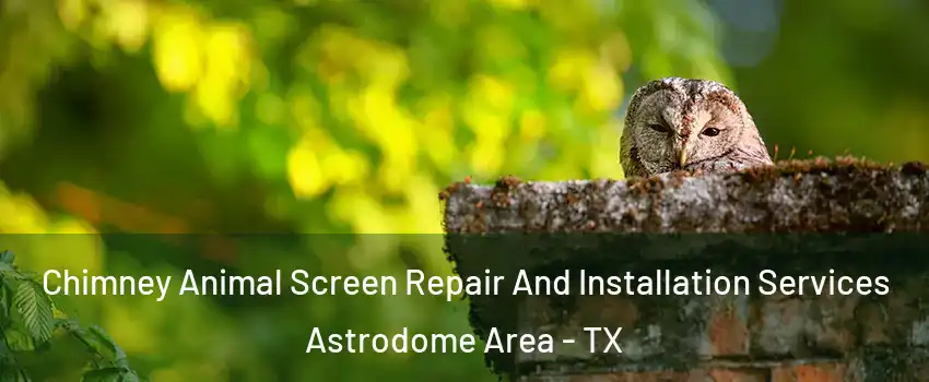 Chimney Animal Screen Repair And Installation Services Astrodome Area - TX