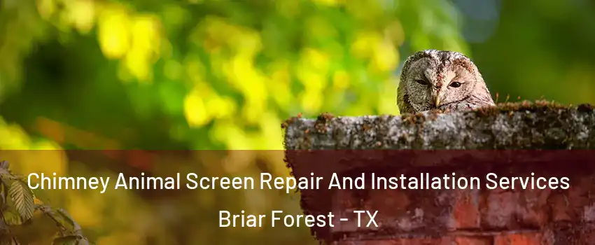 Chimney Animal Screen Repair And Installation Services Briar Forest - TX