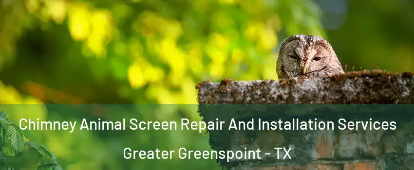 Chimney Animal Screen Repair And Installation Services Greater Greenspoint - TX