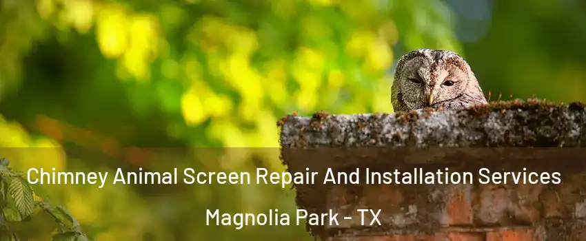 Chimney Animal Screen Repair And Installation Services Magnolia Park - TX