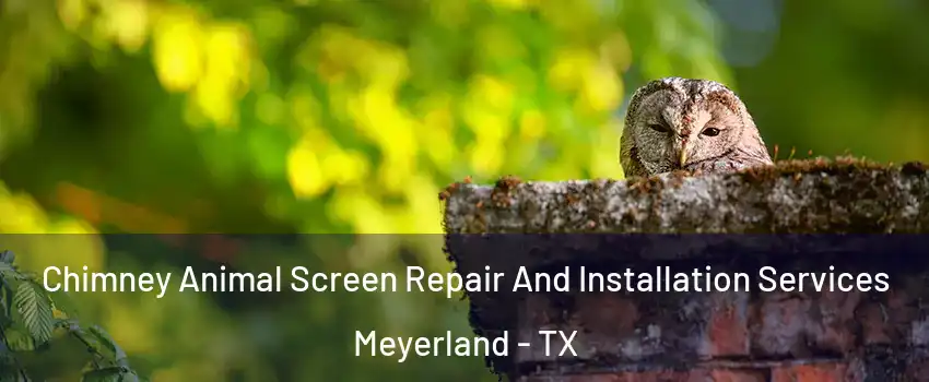 Chimney Animal Screen Repair And Installation Services Meyerland - TX