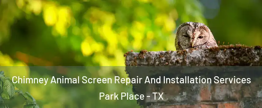 Chimney Animal Screen Repair And Installation Services Park Place - TX