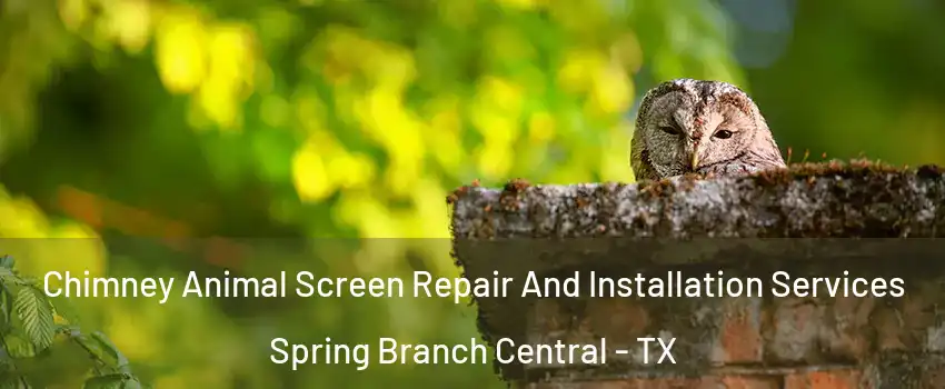 Chimney Animal Screen Repair And Installation Services Spring Branch Central - TX