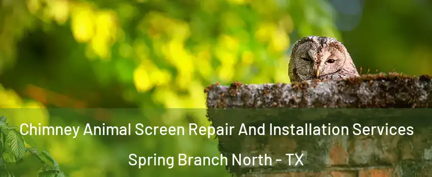 Chimney Animal Screen Repair And Installation Services Spring Branch North - TX