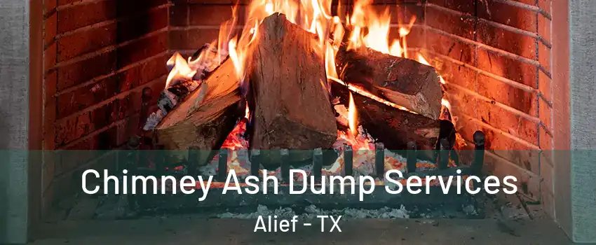 Chimney Ash Dump Services Alief - TX