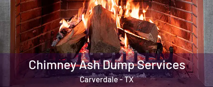 Chimney Ash Dump Services Carverdale - TX