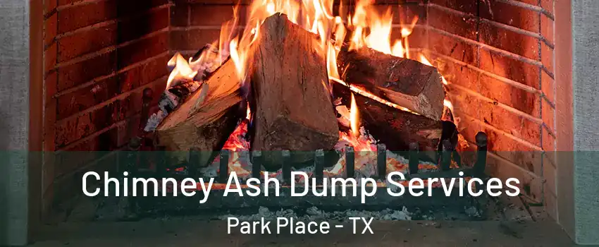 Chimney Ash Dump Services Park Place - TX