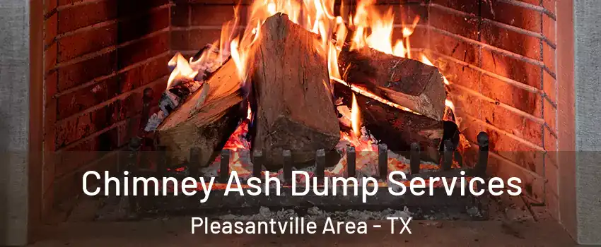 Chimney Ash Dump Services Pleasantville Area - TX