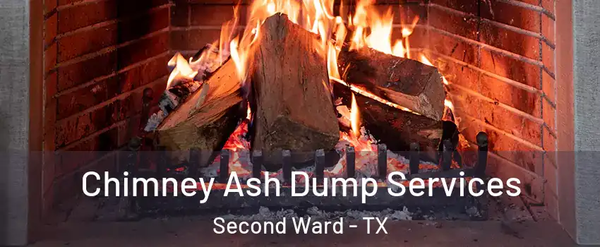 Chimney Ash Dump Services Second Ward - TX