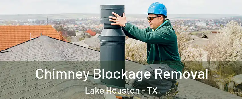 Chimney Blockage Removal Lake Houston - TX