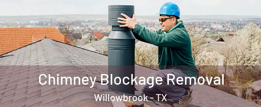 Chimney Blockage Removal Willowbrook - TX