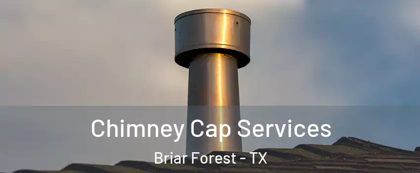 Chimney Cap Services Briar Forest - TX