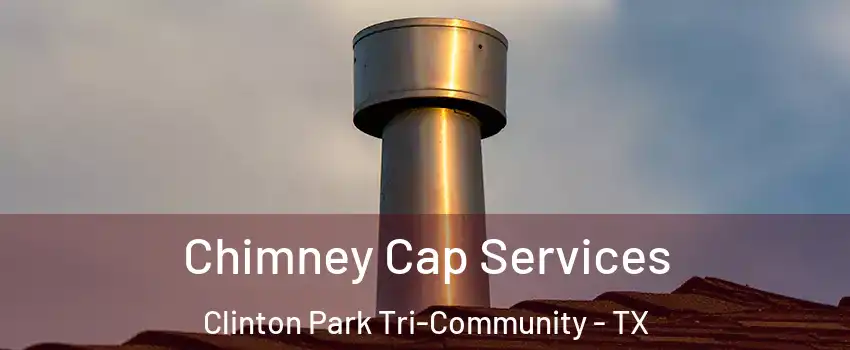 Chimney Cap Services Clinton Park Tri-Community - TX