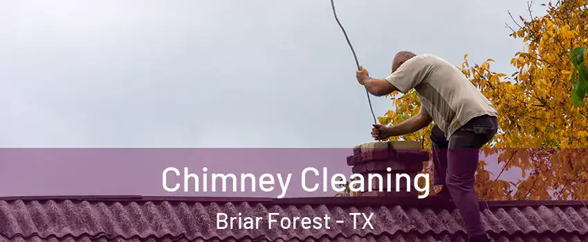 Chimney Cleaning Briar Forest - TX