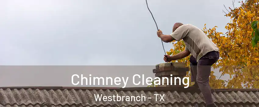 Chimney Cleaning Westbranch - TX