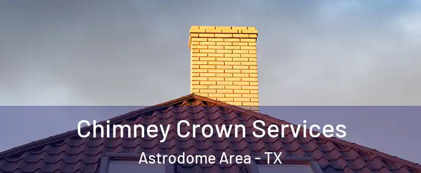 Chimney Crown Services Astrodome Area - TX