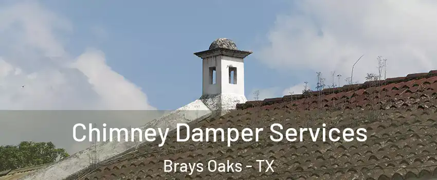 Chimney Damper Services Brays Oaks - TX