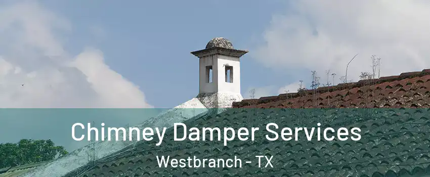 Chimney Damper Services Westbranch - TX