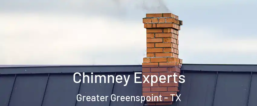 Chimney Experts Greater Greenspoint - TX