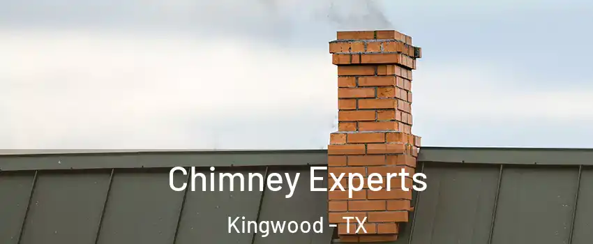 Chimney Experts Kingwood - TX