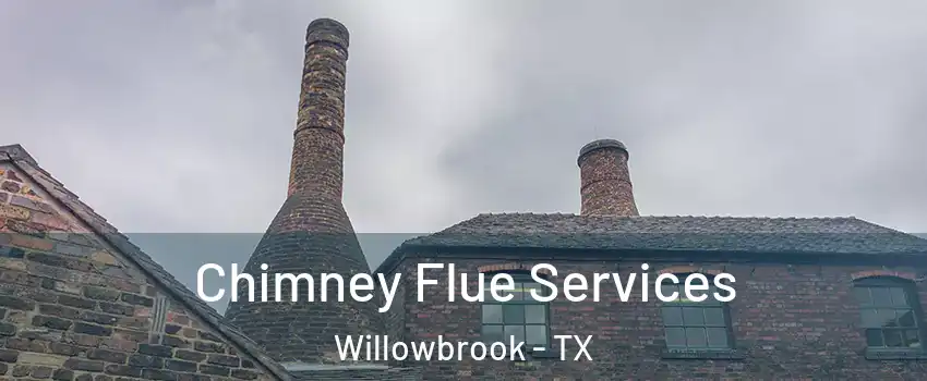 Chimney Flue Services Willowbrook - TX