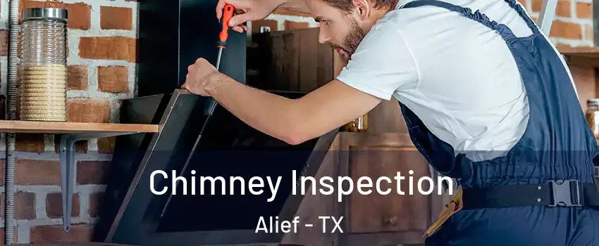 Chimney Inspection Alief - TX