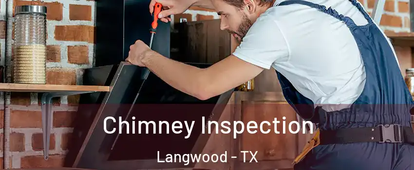 Chimney Inspection Langwood - TX