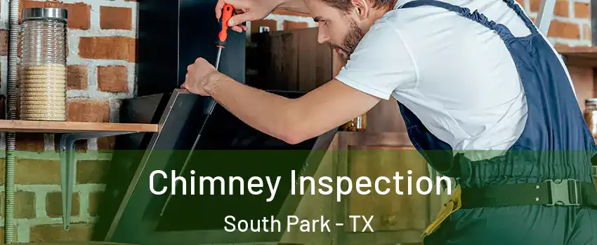 Chimney Inspection South Park - TX