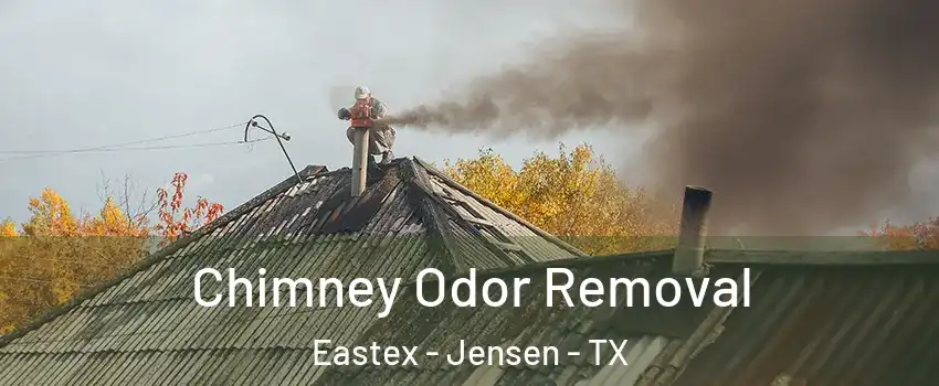 Chimney Odor Removal Eastex - Jensen - TX