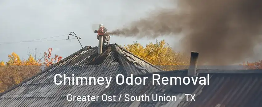 Chimney Odor Removal Greater Ost / South Union - TX