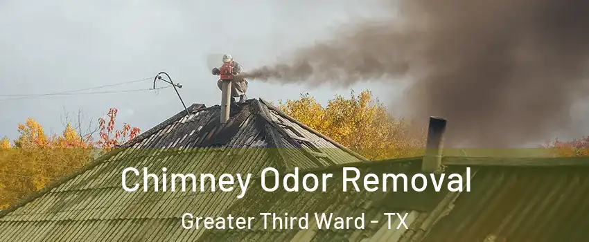 Chimney Odor Removal Greater Third Ward - TX