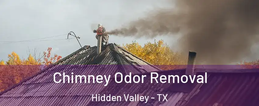 Chimney Odor Removal Hidden Valley - TX