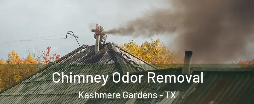 Chimney Odor Removal Kashmere Gardens - TX