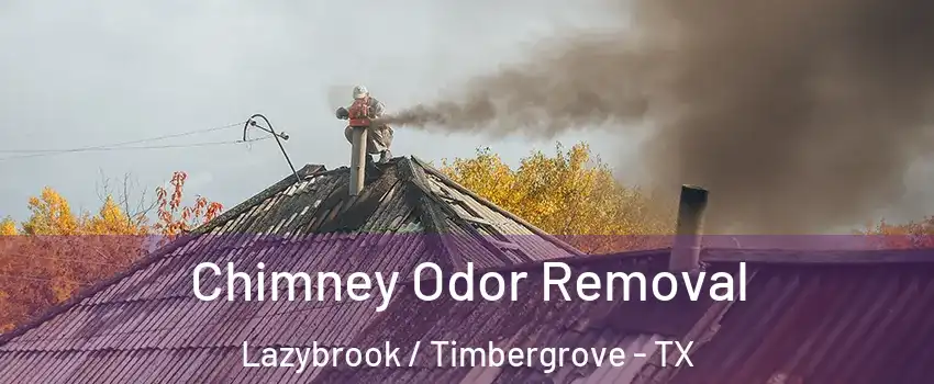 Chimney Odor Removal Lazybrook / Timbergrove - TX