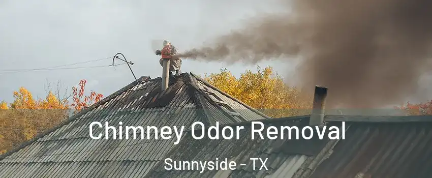 Chimney Odor Removal Sunnyside - TX