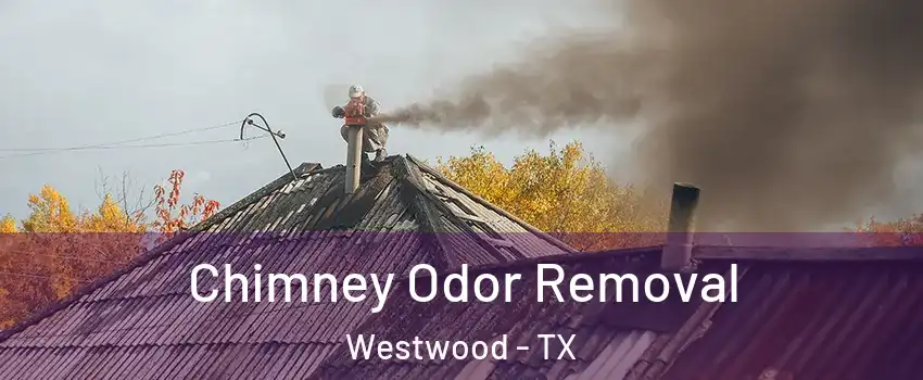 Chimney Odor Removal Westwood - TX