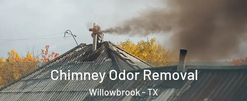 Chimney Odor Removal Willowbrook - TX