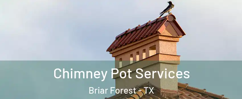 Chimney Pot Services Briar Forest - TX