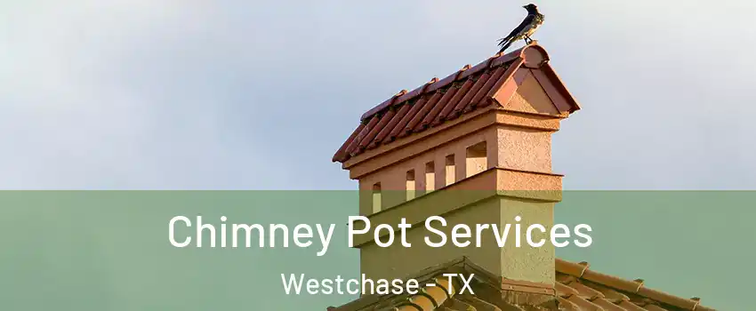 Chimney Pot Services Westchase - TX