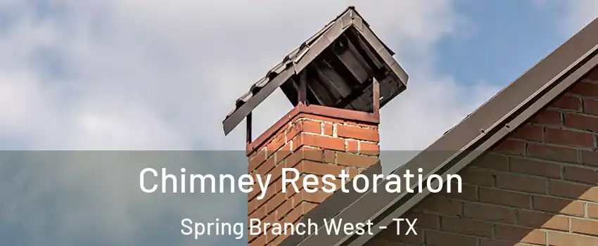 Chimney Restoration Spring Branch West - TX