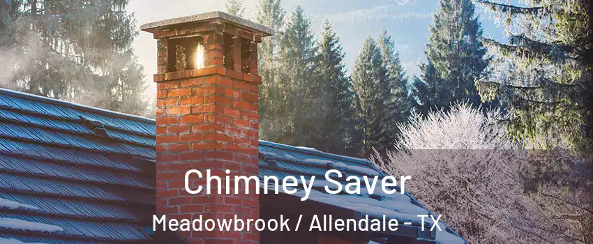 Chimney Saver Meadowbrook / Allendale - TX