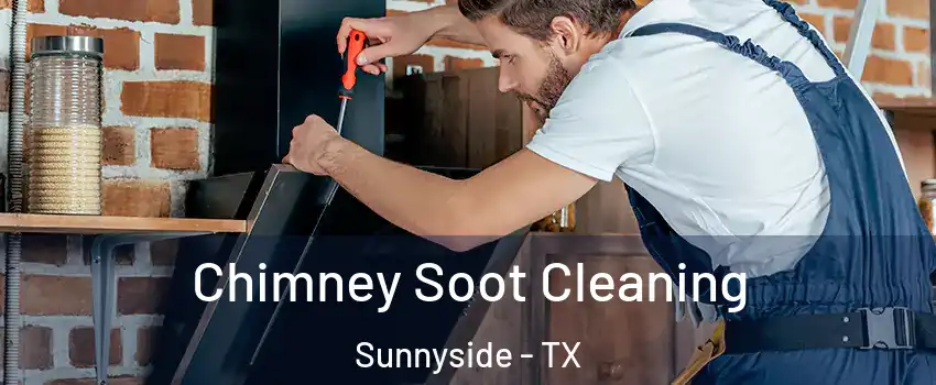 Chimney Soot Cleaning Sunnyside - TX